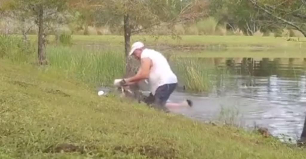 Hombre ingresa a estanque para salvar a su perro de las fauces de un caimán