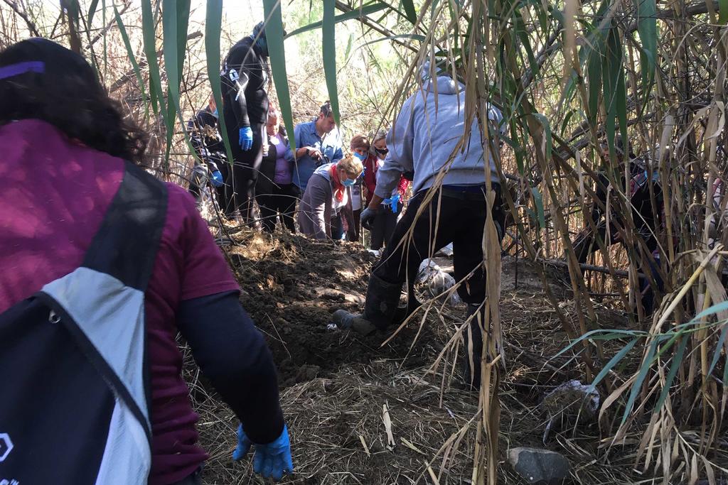 En Sonora, colectivos encuentran al menos 14 cadáveres en fosas clandestinas