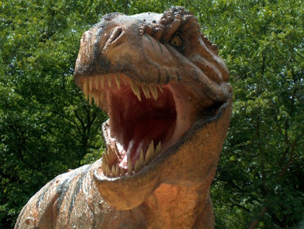 Determinan que el T-Rex daba el 'estirón' en la adolescencia