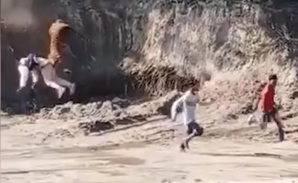 Tigre salta hacia un hombre y ambos caen a una fosa de cuatro metros de profundidad