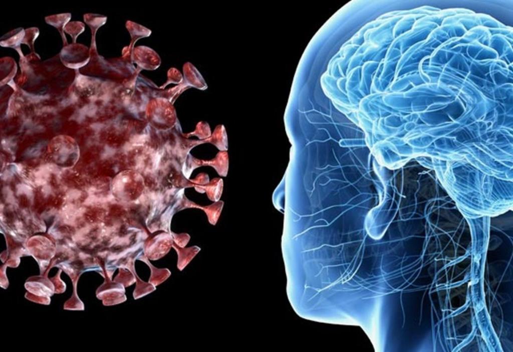SARS-CoV-2 podría afectar al cerebro ingresando por la nariz
