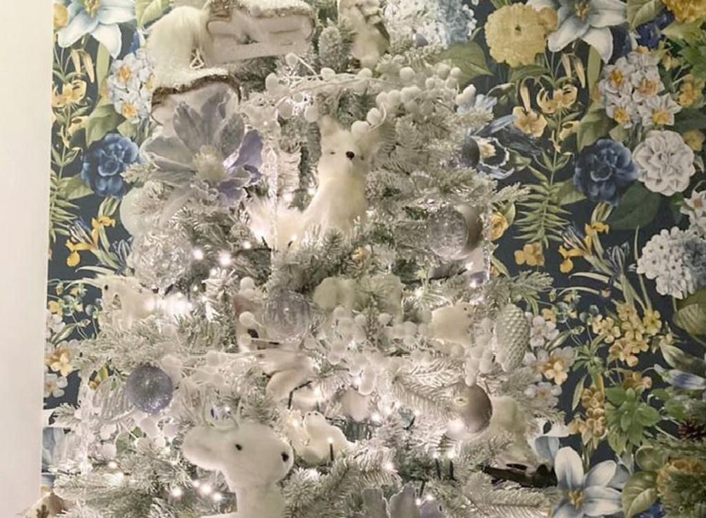 Gato escondido en árbol de Navidad se vuelve el acertijo ‘imposible’