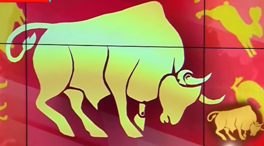 El 2021 será el año del Búfalo en el Horóscopo Chino