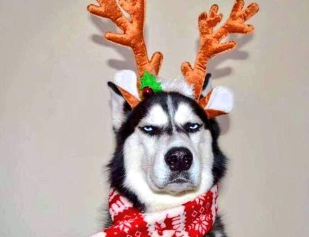 Los momentos más 'memeros' del 2020