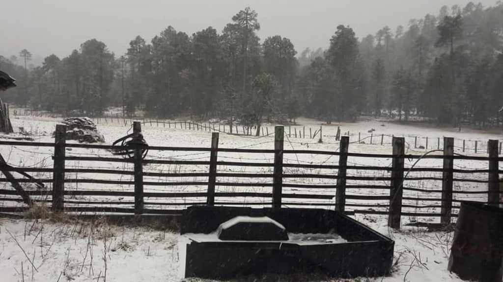 Tamazula reporta nevada; suman 7 municipios de Durango