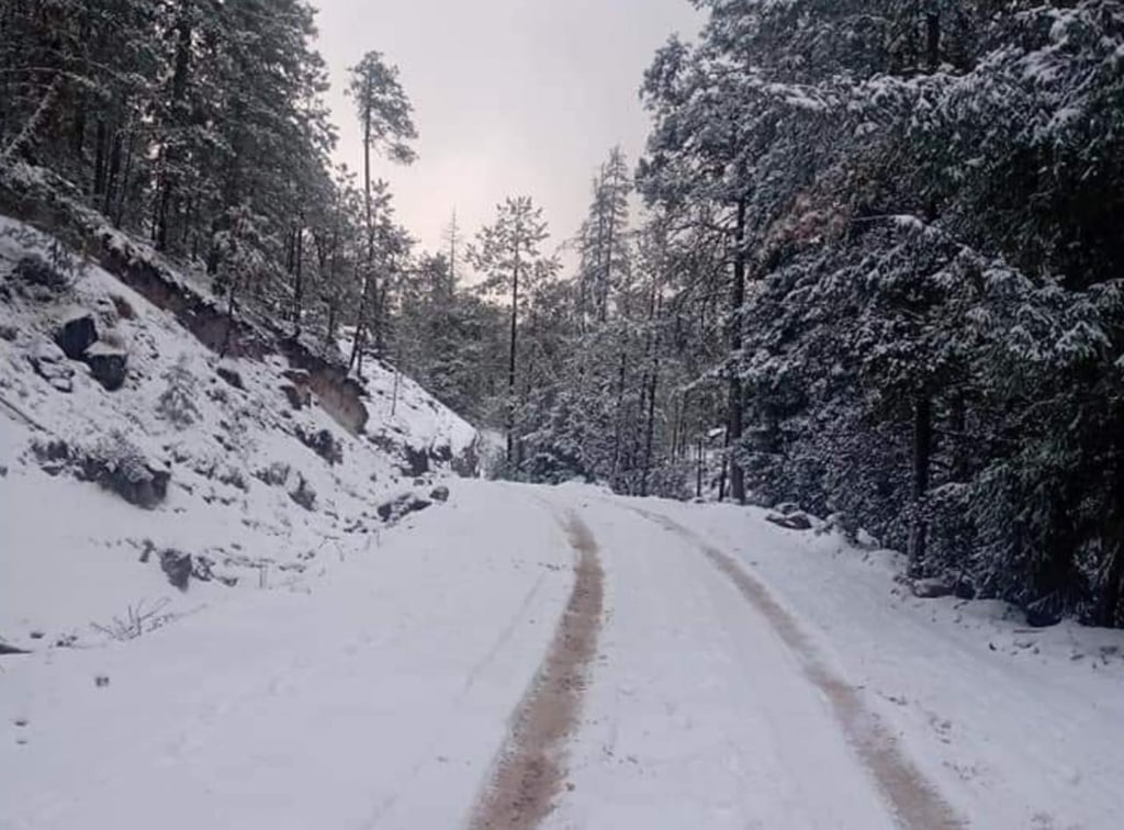 Ya son 10 municipios de Durango con nieve; Pueblo Nuevo y Canatlán entre ellos