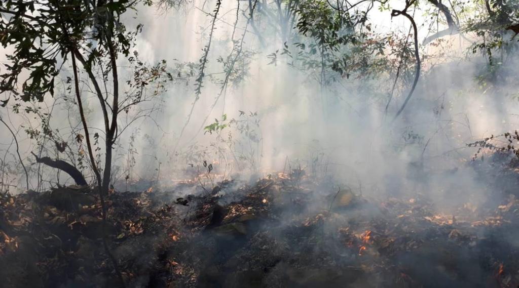 Trabajan en extinción de incendio en Parque Nacional Izta-Popo