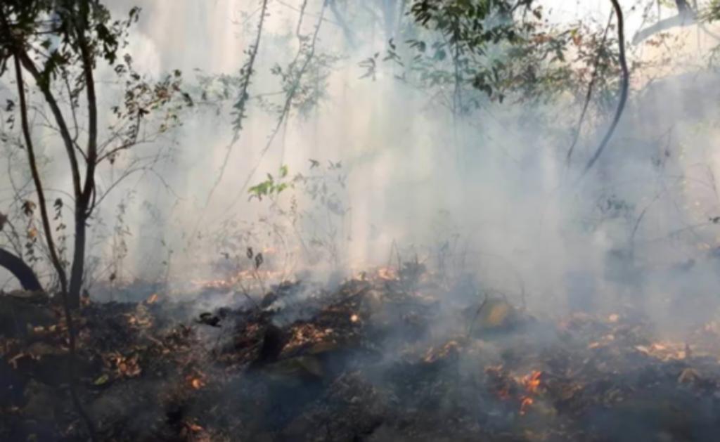 Sofocan en su totalidad incendio forestal en parque Iztaccíhuatl