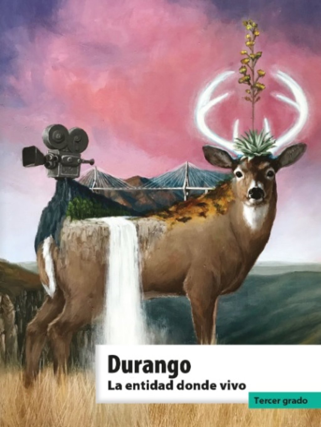 Renovaron libro de texto de Durango