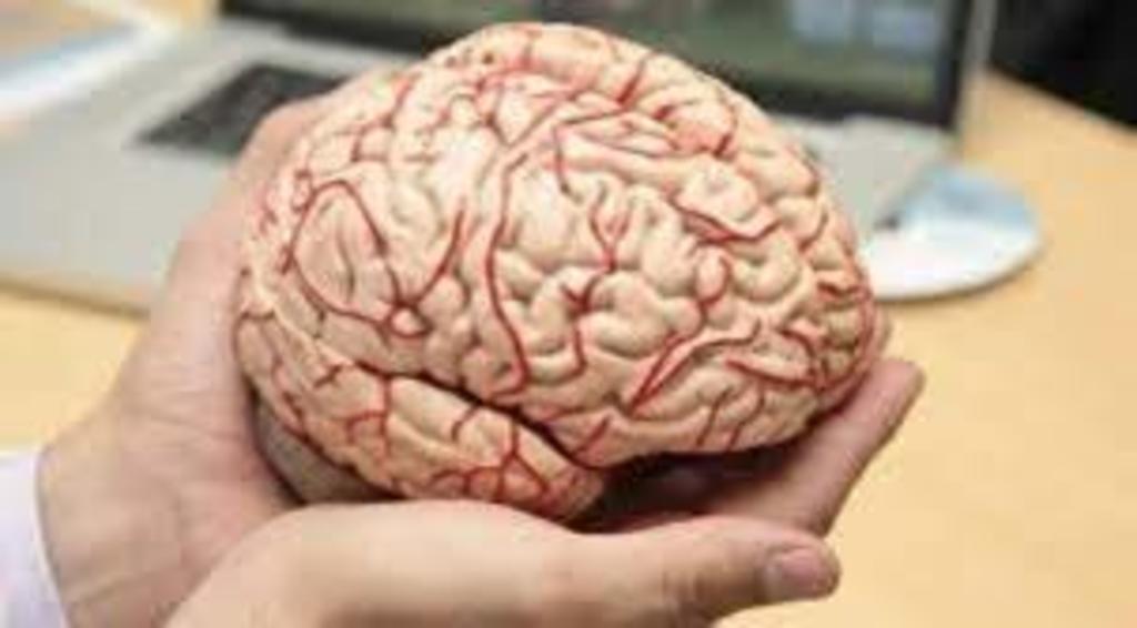 Curación de lesiones cerebrales podría relacionarse con un tipo de cáncer