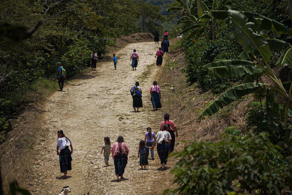 Chiapas, sin condiciones para regreso a clases: CNTE