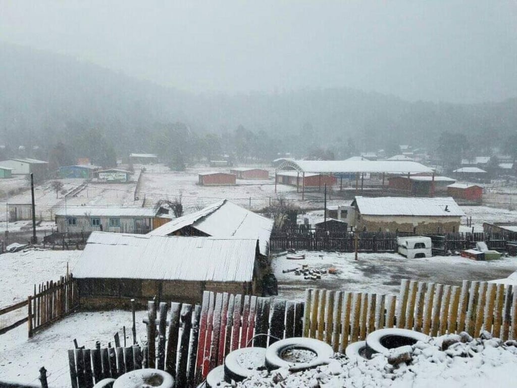 Declaran emergencia para 13 municipios de Durango por nevadas