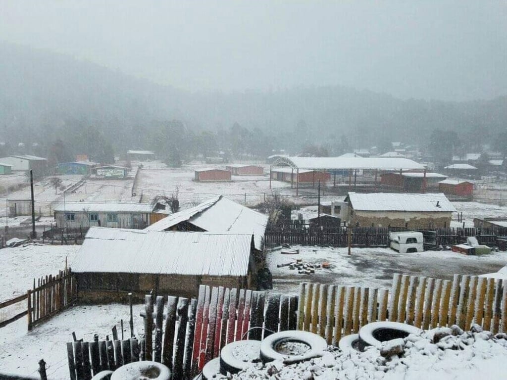 Por nevadas, declaran emergencia para 13 municipios de Durango