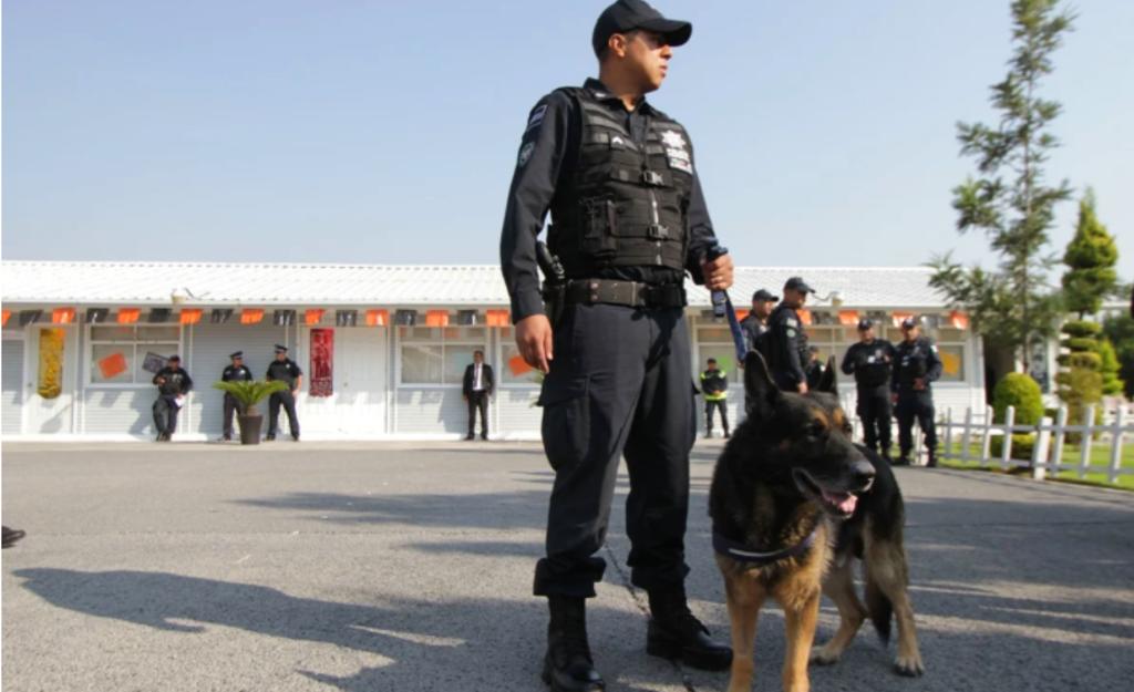 Destacan participación de elementos caninos en detenciones de Puebla
