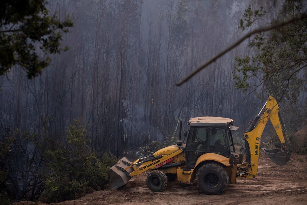 Incendio forestal en centro de Chile consume 7 viviendas