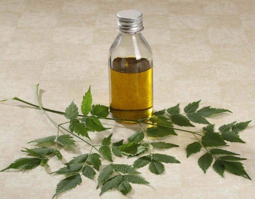 ¿Qué es el aceite de neem?