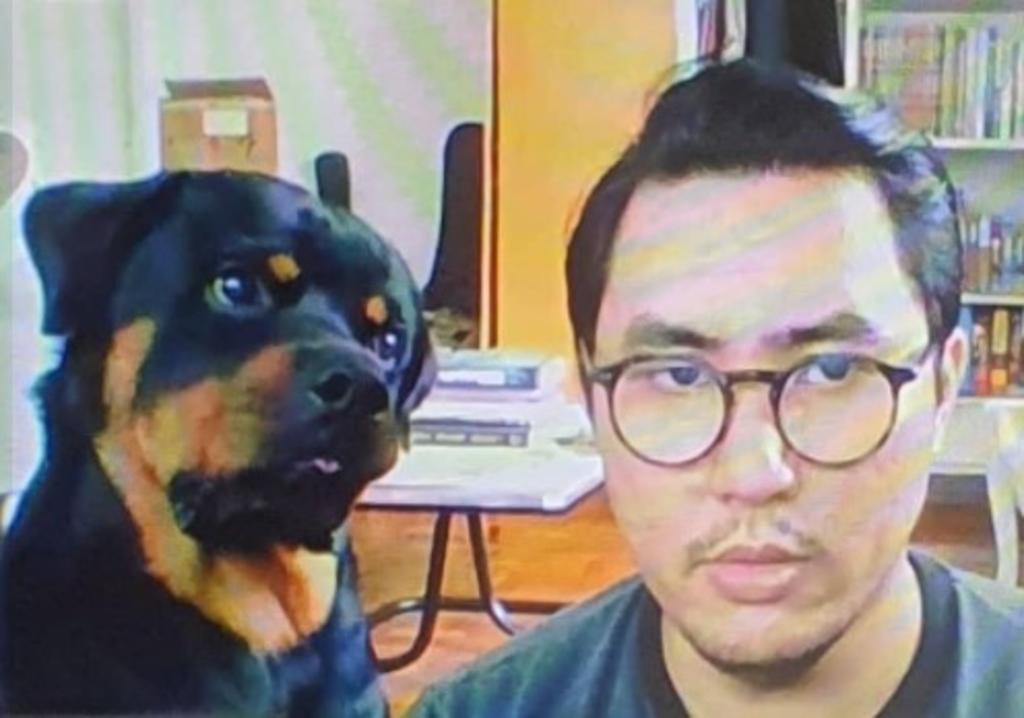 Rottweiler interrumpe reunión virtual de su dueño y enamora a la red