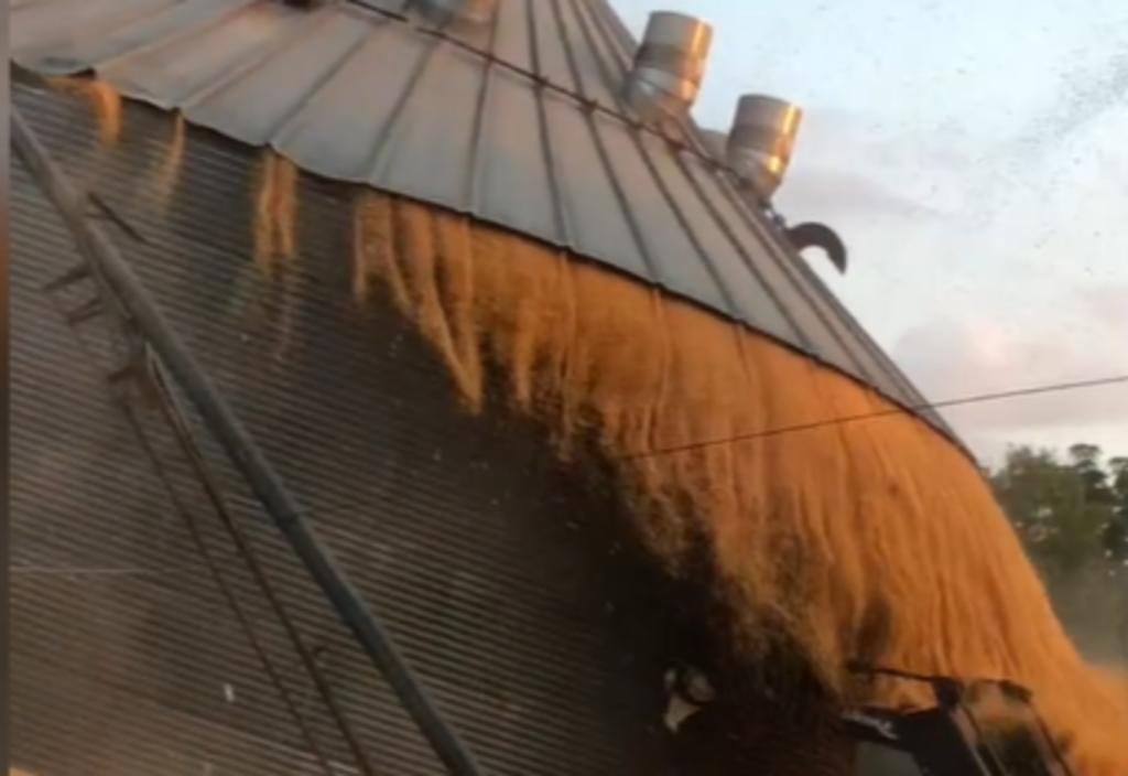 Graban el momento en el que silo de maíz colapsa debido a una ruptura