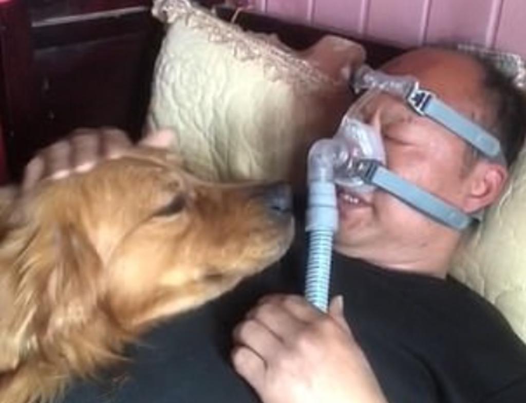 Perro se rehúsa a separarse de su dueño que tiene que usar un aparato de respiración