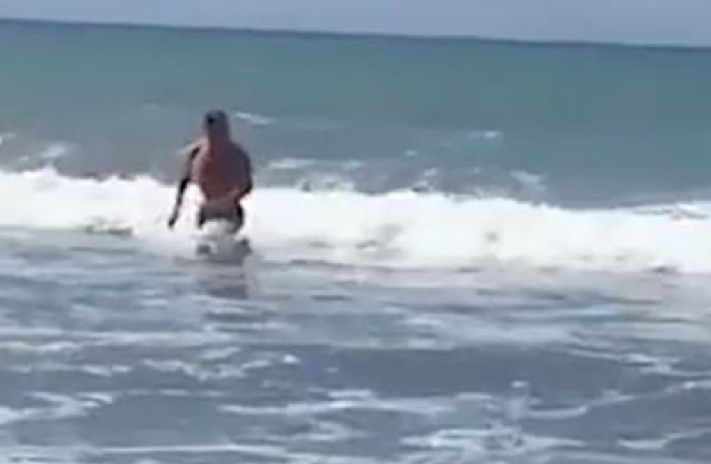 Hombre nada por su vida tras ser acechado por dos tiburones en la playa