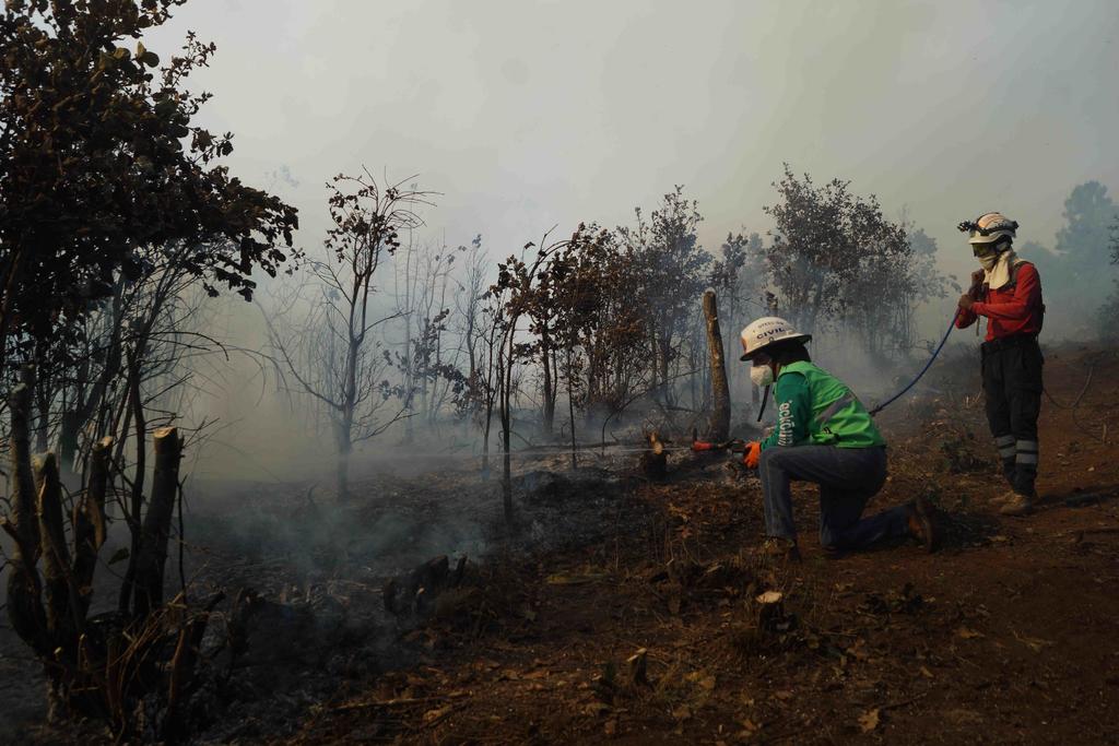 Controlan dos incendios forestales en Oaxaca; cinco permancen activos
