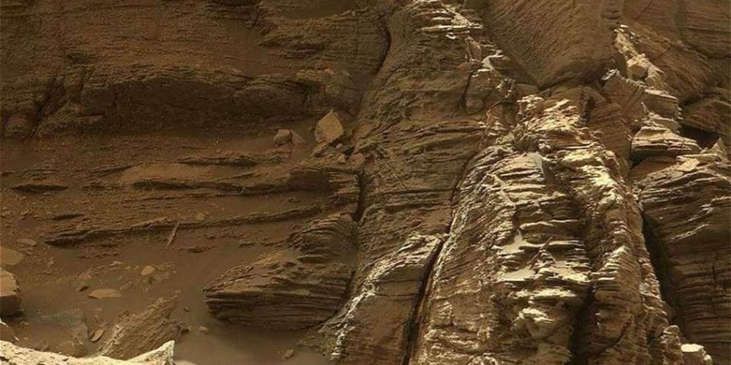Algunas formas de vida terrestre podrían sobrevivir en Marte