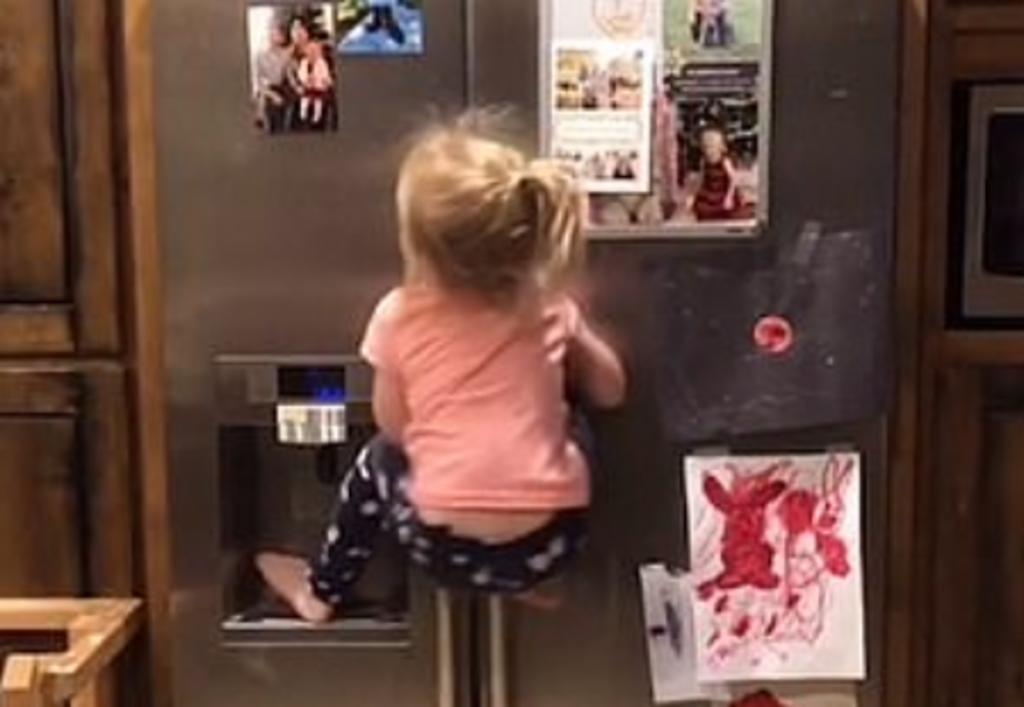 Niña de tres años escala un refrigerador para alcanzar unas galletas y se vuelve viral