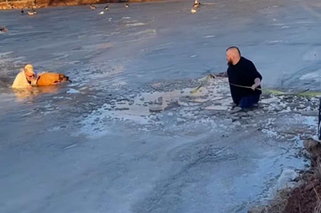 Dos personas salvan a un perro de morir congelado en un estanque helado