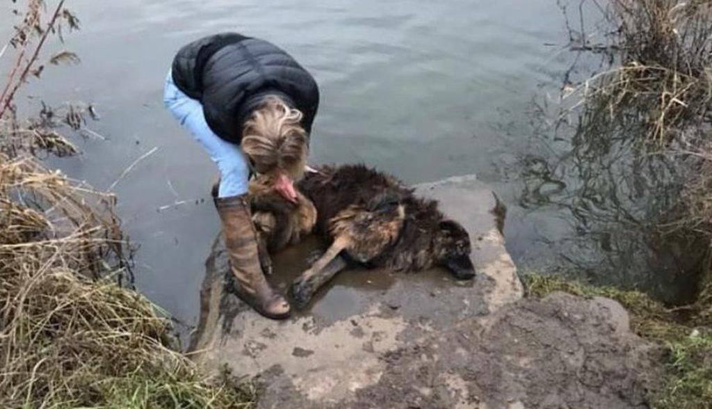 Mujer ata roca a su perra y la arroja a un río