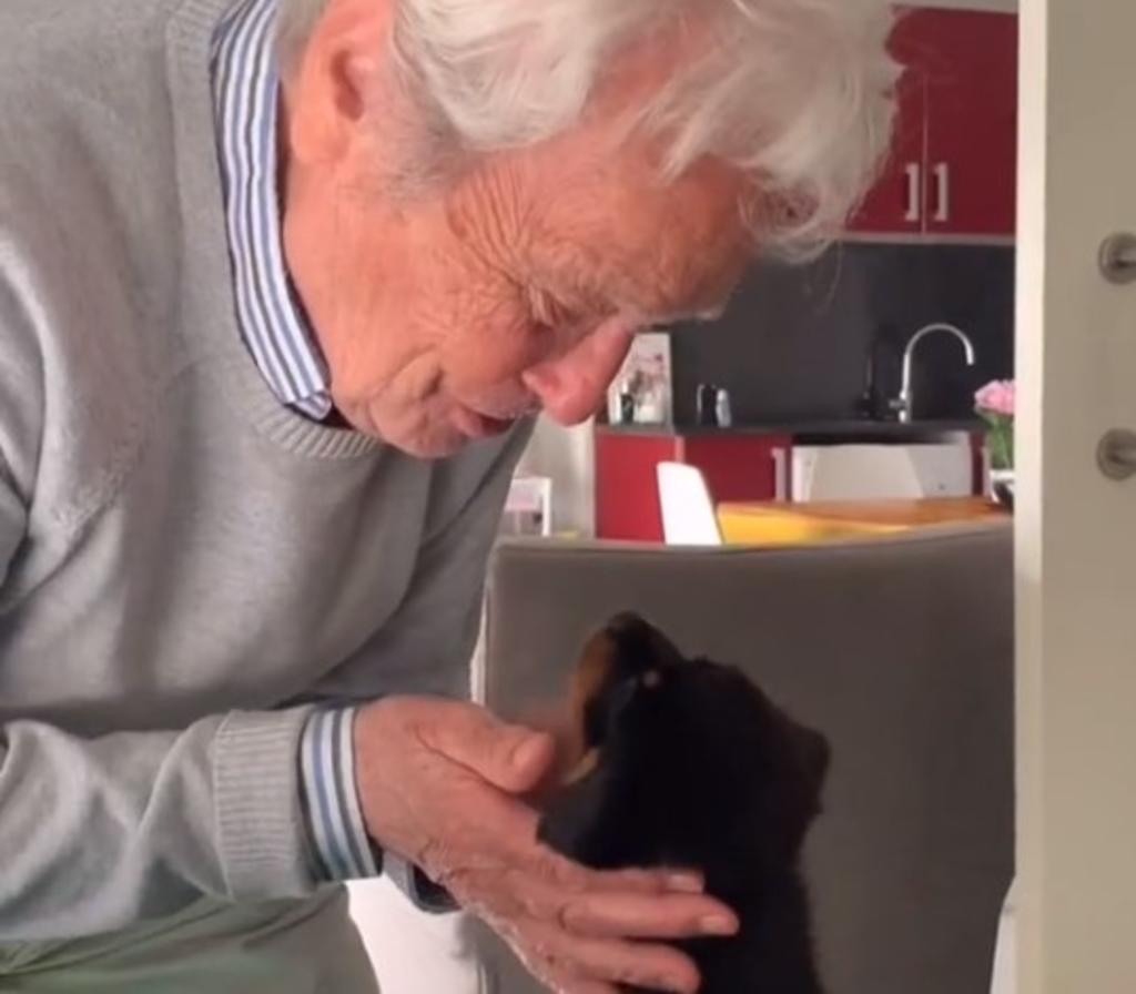 Abuelito de 91 años conoce a cachorrita Rottweiler; su encuentro enamora a la red