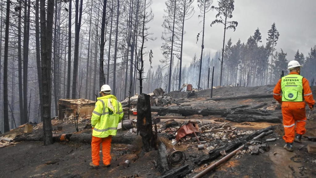 Incendio en la Patagonia argentina deja un muerto y destrucción de 1,500 hectáreas
