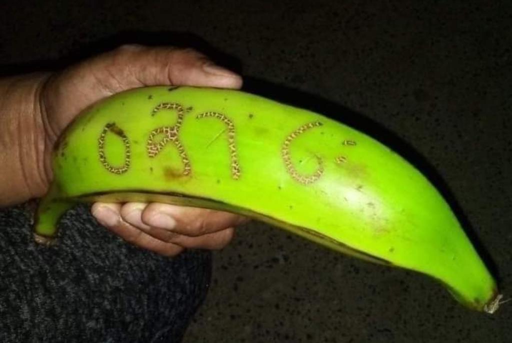 Gracias a un plátano, dos mil personas ganaron la lotería en Colombia