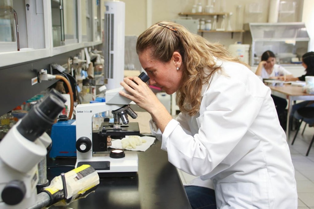 Cambios en Reglamento para los investigadores, 'en lo oscurito'