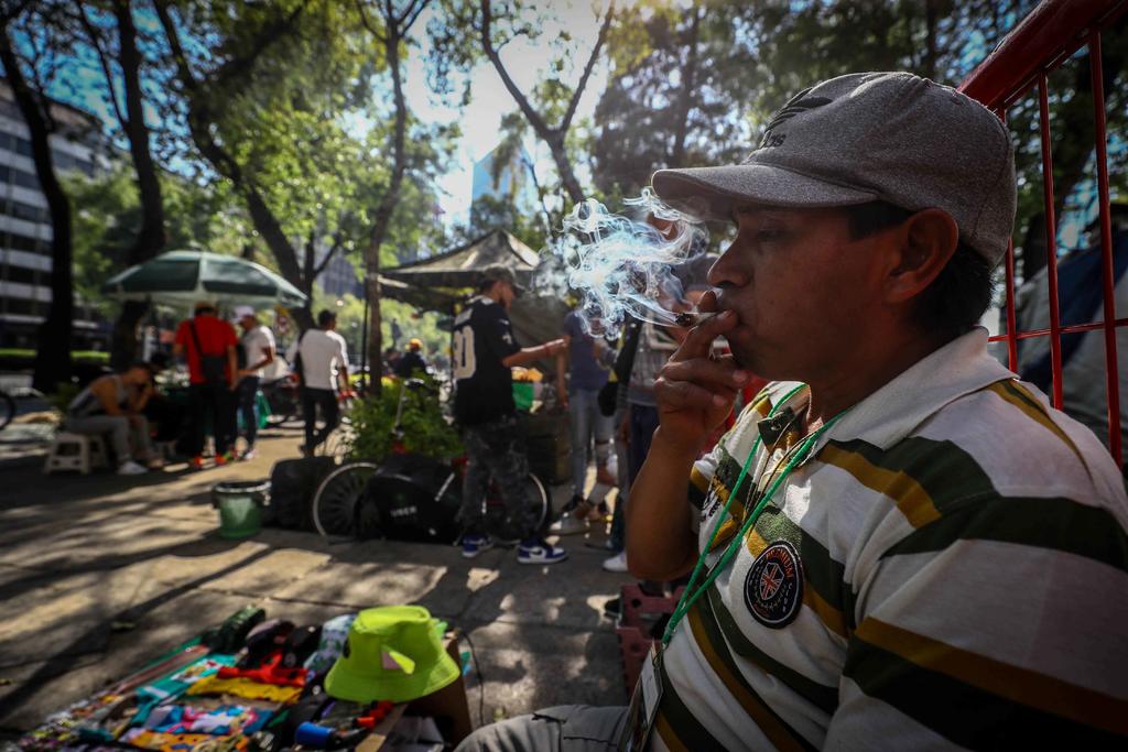 Regulación de marihuana genera dudas en México sobre impacto en narcotráfico