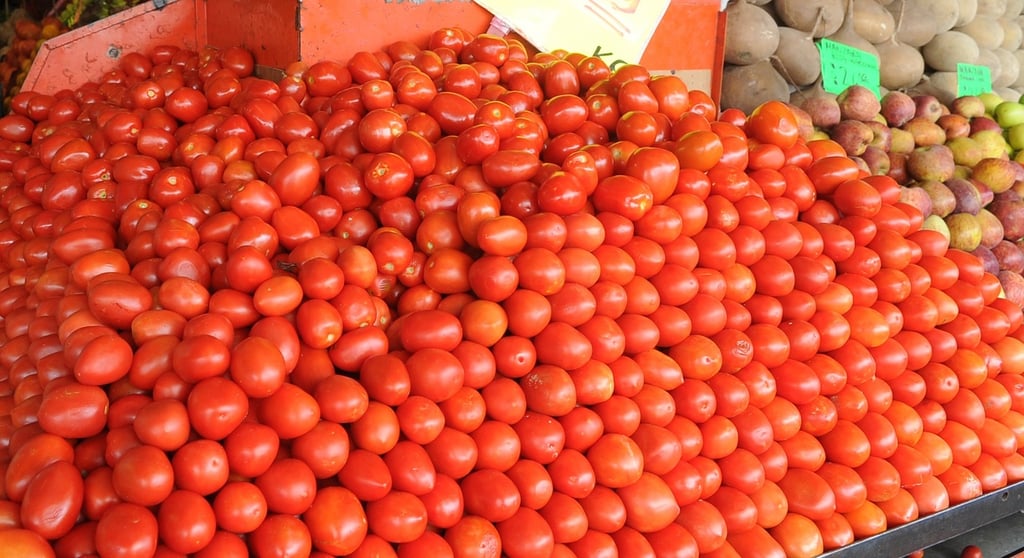 Durango produce más de 52 mil toneladas de tomate