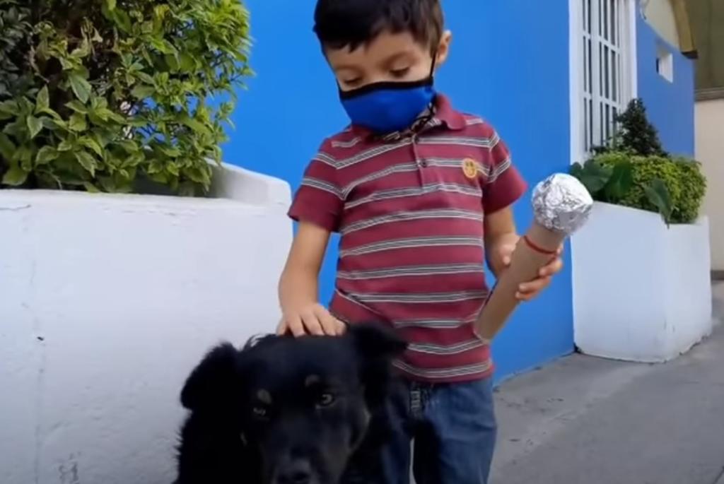Niño 'debuta como periodista' entrevistando a perritos de la calle