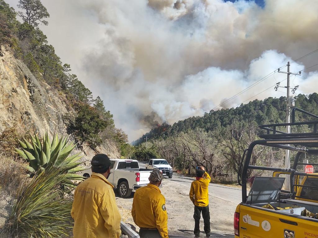 Evacuan a al menos 400 personas tras incendio en Sierra de Arteaga
