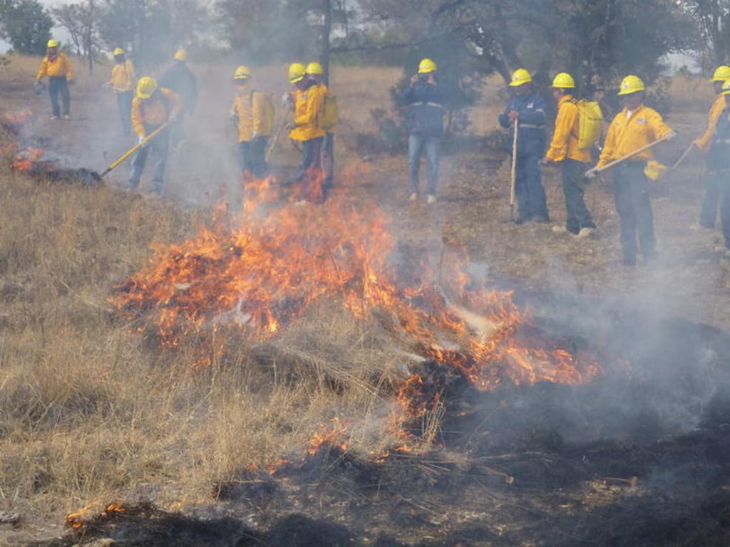 Ya son mil hectáreas afectadas por incendios forestales