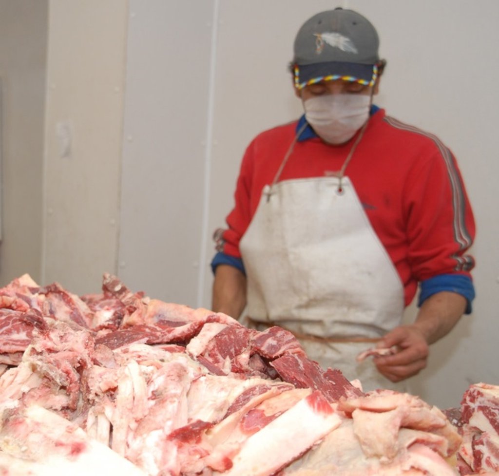 Durango produce 657 toneladas de carne de cerdo