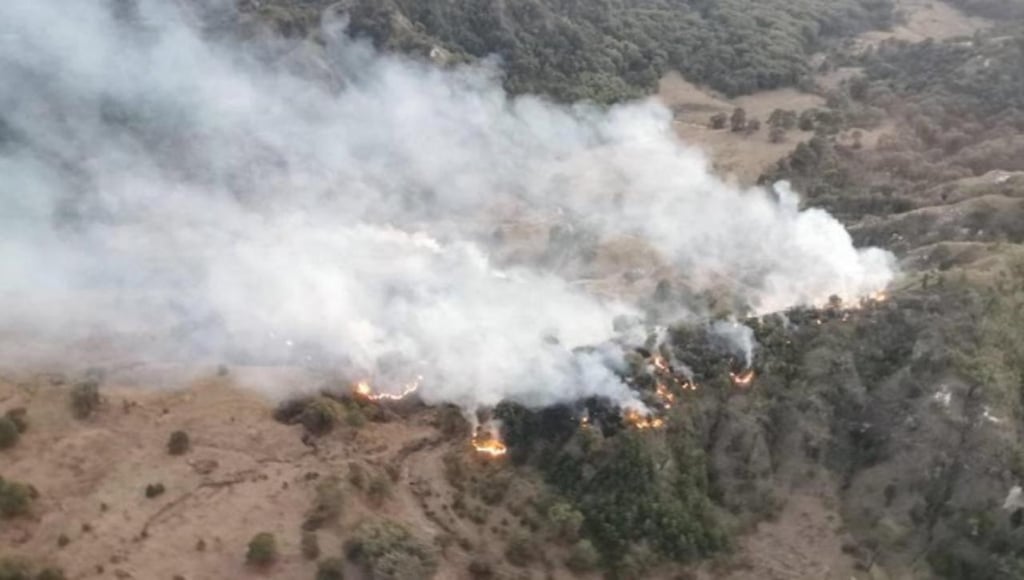 Siete incendios forestales activos en el estado de Durango
