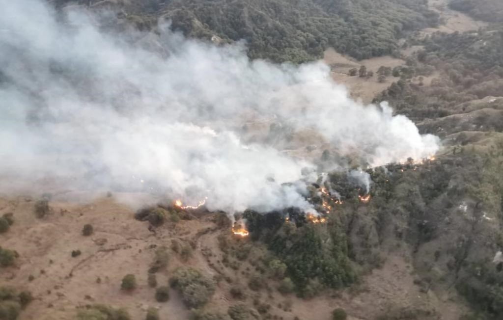 7 incendios forestales activos en Durango