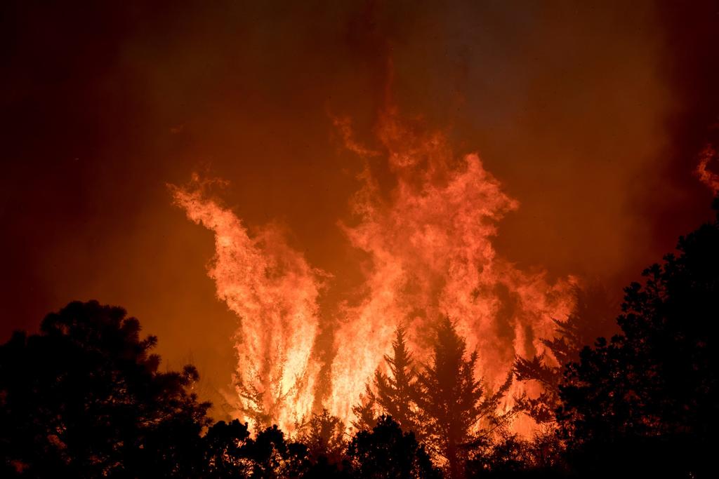Incendios en Nuevo León han dañado más de cinco mil hectáreas