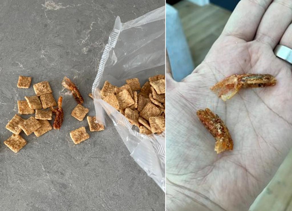 Escritor hace grotesco descubrimiento en una caja de cereal: colas de camarón