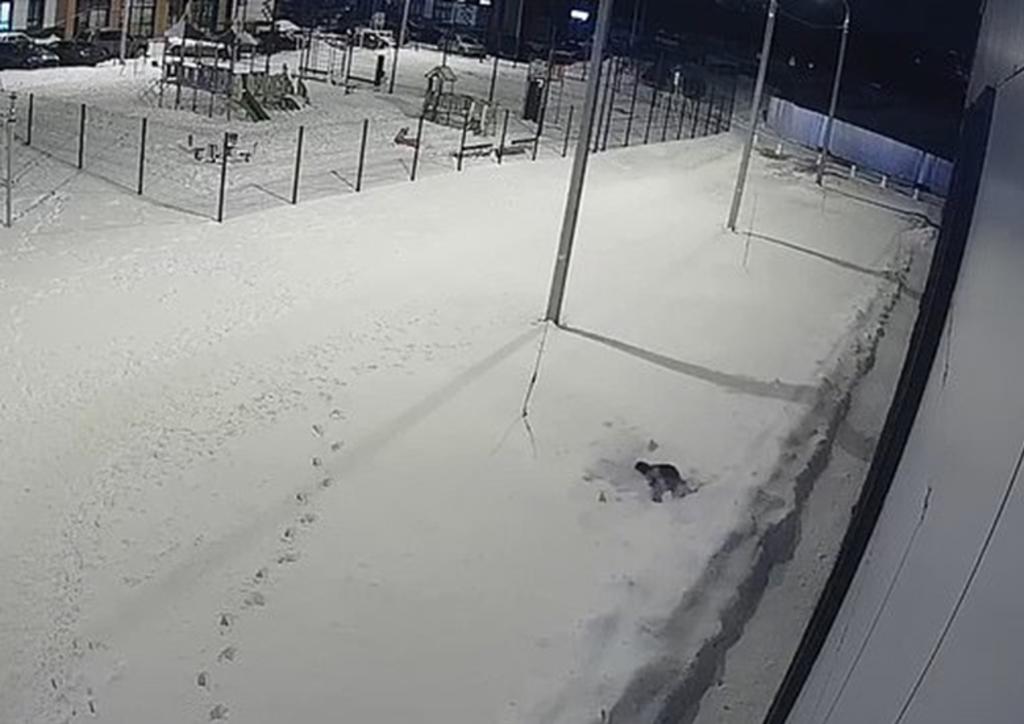 Gracias a la nieve, niño sobrevive a una caída desde un duodécimo piso