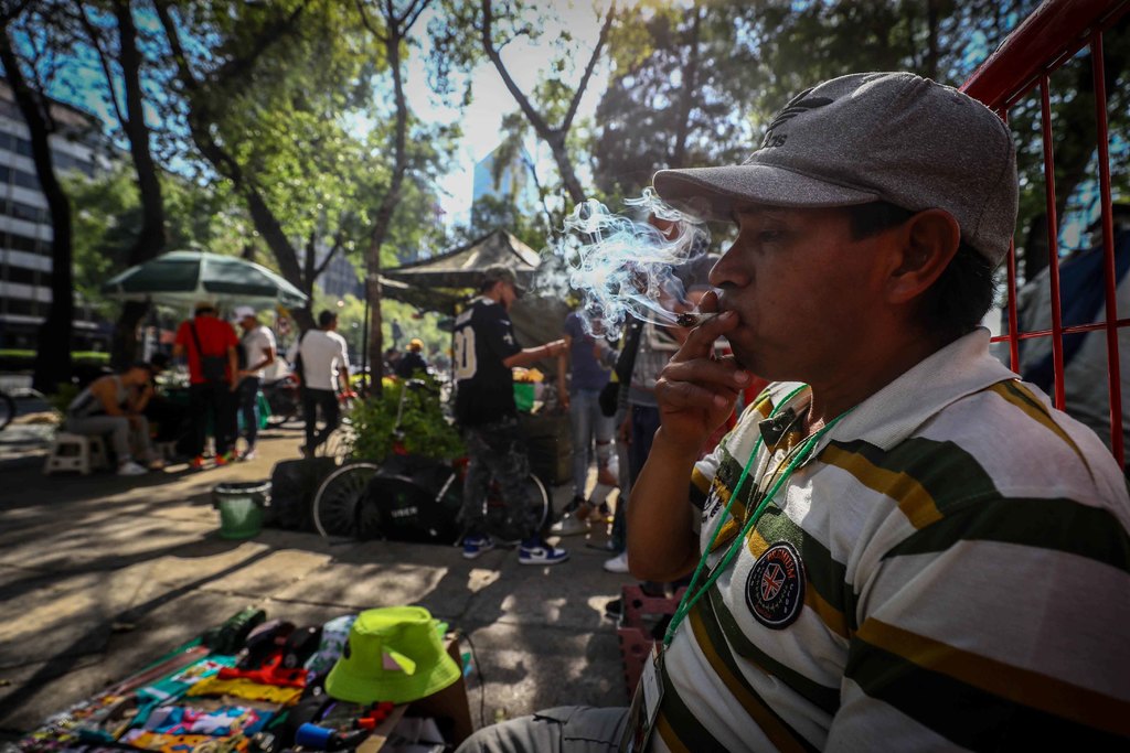 México puede usar marihuana con fines medicinales: ONU