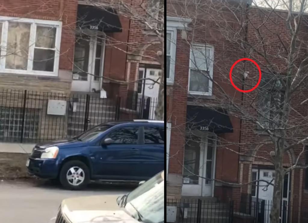 Ardilla se roba un paquete de una casa en Chicago