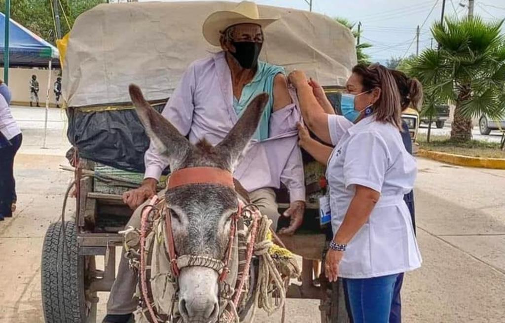Abuelito llega en su carrito de mulas para recibir vacuna contra COVID-19 en Tamaulipas