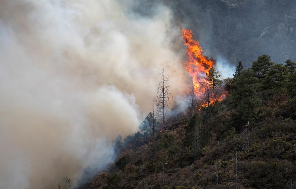 Incendio forestal en Coahuila y Nuevo León acumula 12 mil hectáreas afectadas