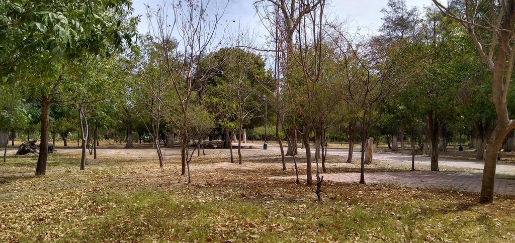 Parque Las Auras, a cargo del Estado