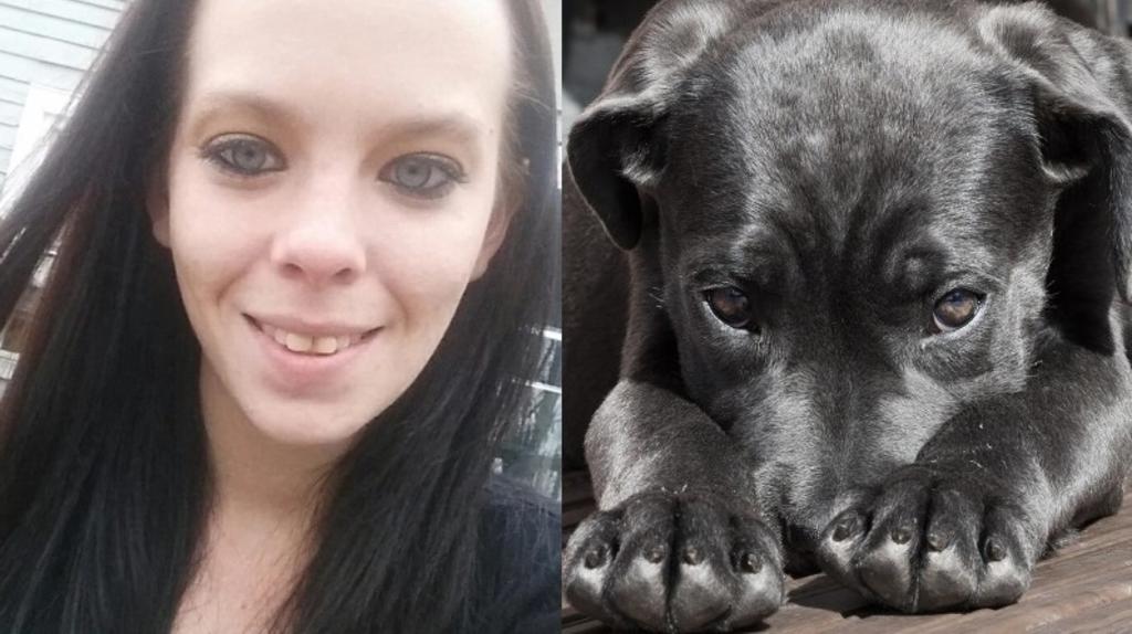 Mujer permite que su perro coma heroína y lo filma sufriendo sobredosis mortal